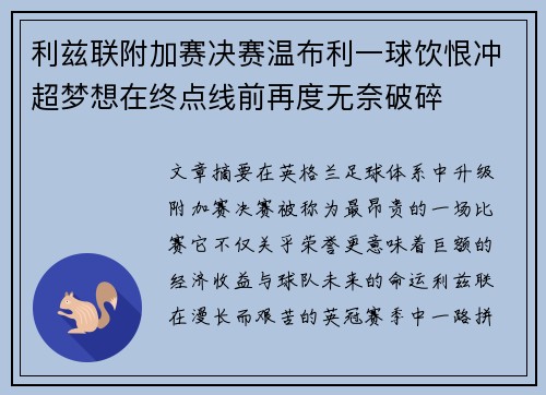 利兹联附加赛决赛温布利一球饮恨冲超梦想在终点线前再度无奈破碎